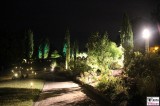 Beleuchtung Parkwege Botanische Nacht Botanischer Garten Museum Sommernacht Berlin Dahlem Steglitz karibische Sommernacht Berichterstatter