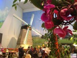 Gruene Woche 2016 Holland Halle Windmuehle Blumen Berlin Messe @visitberlin