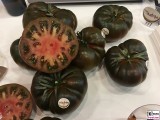 Schwarze adora Riesen Tomaten gruene Frucht Fruit Logistica Messe Gelaende Berlin unter dem Funkturm Berichterstatter