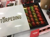 Tomaten im Geschenk-Karton Fruit Logistica Messe Gelaende Berlin unter dem Funkturm Berichterstatter