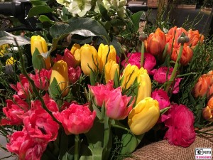 Tulpen Blumenhalle Internationale Gruene Woche Messe Berlin Berichterstatter