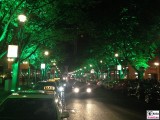 beleuchtete Bäume Berlin leuchtet Lichterfest Potsdamer Platz