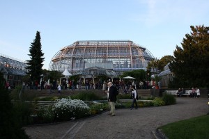 großes Tropenhaus Botanische Nacht in Berlin im Botanischen Garten