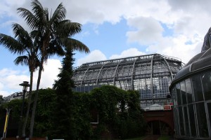 palmen tropenhaus berlin botanischer garten