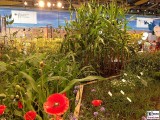 Gruene Woche 2016 Wiese Feld Anbau Mais Mohn Blumen Kraeuter Berlin Messe @visitberlin