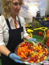 Haeppchen Tomaten Niederlande Holland Gruene Woche IGW 2018 Berlin Funkturm Berichterstatter