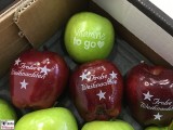 Logo auf Obst mit Lebensmittelfarbstoff Fruit Logistica Messe Gelaende Berlin unter dem Funkturm Berichterstatter