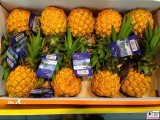 Mini Ananas FRUIT LOGISTICA Berlin Messe