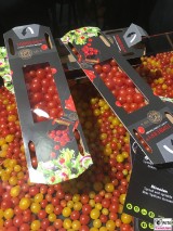 Mini Tomaten TOMBERRY® Frucht Fruit Logistica Messe Gelaende Berlin unter dem Funkturm Berichterstatter