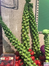 Rosenkohl am Stengel Fruit Logistica Messe Gelaende Berlin unter dem Funkturm Berichterstatter