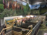 Tierhalle Pferde Rinder Stall Messestand Berlin Gruene Woche 2020 Berichterstattung TrendJam