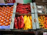 Trend grosse kleine Fruechte Paprika FRUIT LOGISITICA Messe Berlin Funkturm