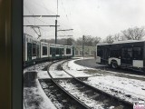 Wendeschleife Straßenbahn Potsdam Streckeneroeffnung Campus Jungfernsee Berichterstatter