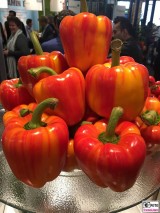 orange bunte gemuese Paprika Fruit Logistica Messe Gelaende Berlin unter dem Funkturm Berichterstatter