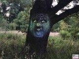 sprechender Baum Eiche Animation Botanische Nacht Berlin Dahlem Botanischer Garten Magische Natur Welten Berichterstatter