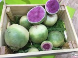 violette lila Wasser Melone Mexiko Frucht Fruit Logistica Messe Gelaende Berlin unter dem Funkturm Berichterstatter